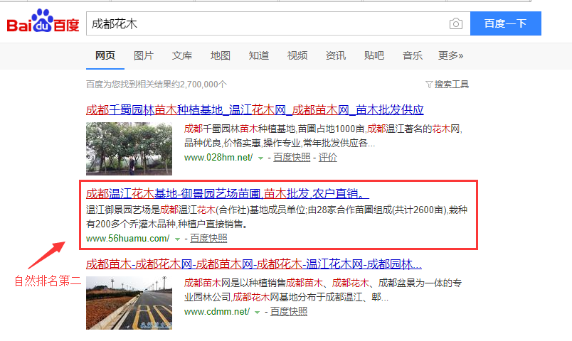 成都花木，成都苗木簡單的指導直接上百度首頁