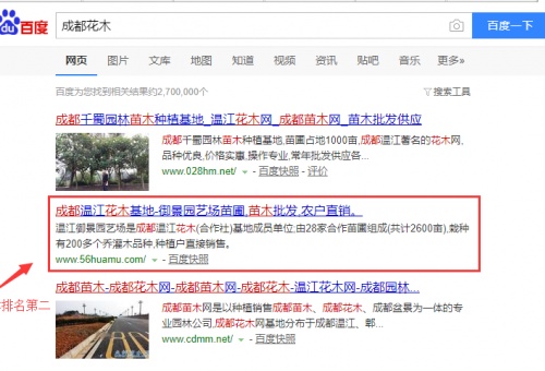 成都花木，成都苗木簡單的指導直接上百度首頁