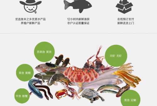生產(chǎn)養(yǎng)殖行業(yè)-有魚有蝦網(wǎng)